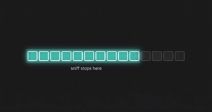 file-type's decision covers only the first 12 bytes of the file, everything after that point is attacker-controlled